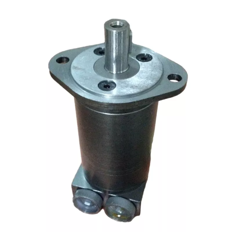50 RPM Low-Speed ​​High-Torsi Hydraulic Motors
